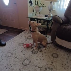 Meet your Posher, Deborah